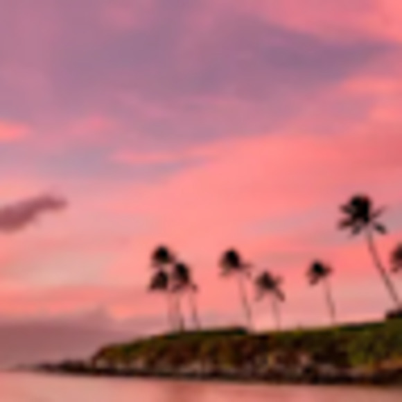 Meet your Posher, Gianna - Picture 1 of 1